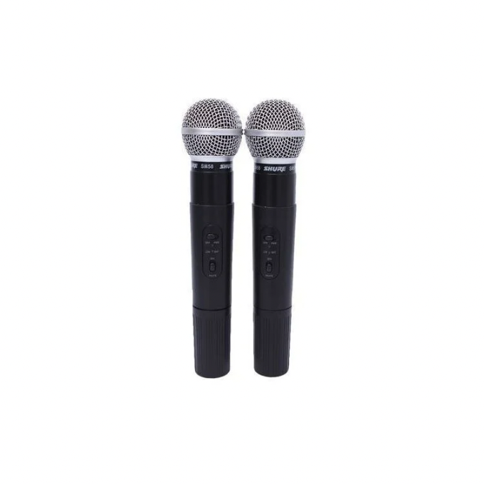 Micro Sans Fil Professionnel Double