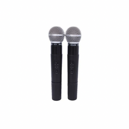 Micro Sans Fil Professionnel Double