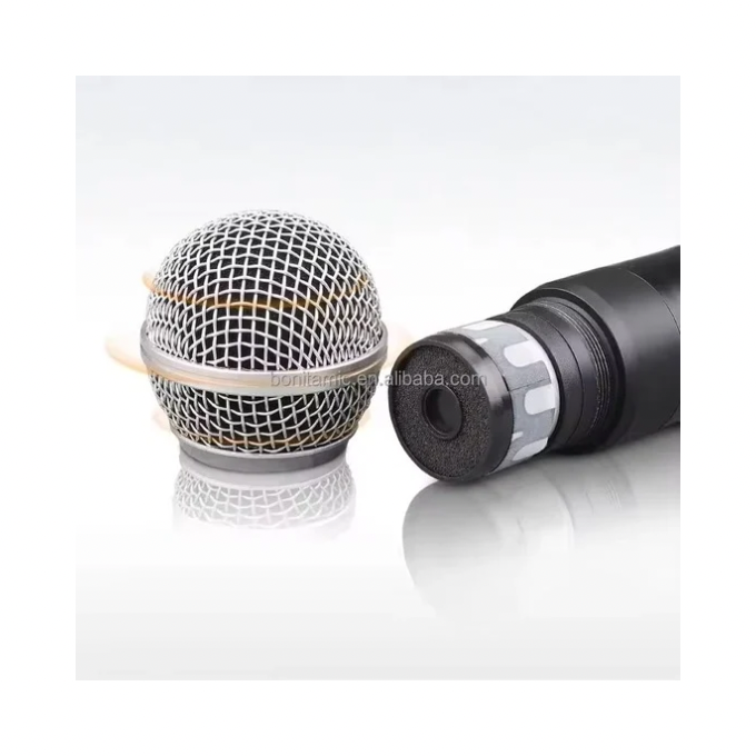 Micro Sans Fil Professionnel Double