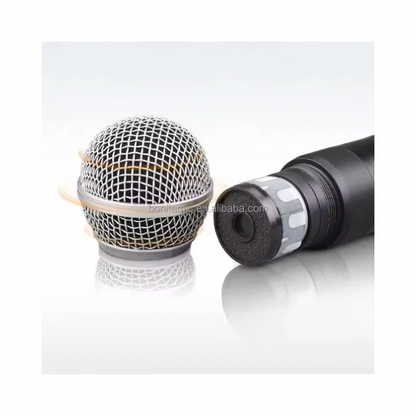 Micro Sans Fil Professionnel Double