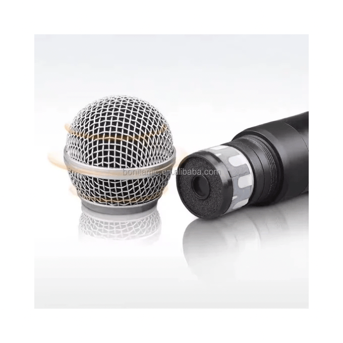 BabiShop225 Micro Sans Fil Professionnel Double