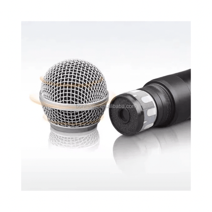 BabiShop225 Micro Sans Fil Professionnel Double