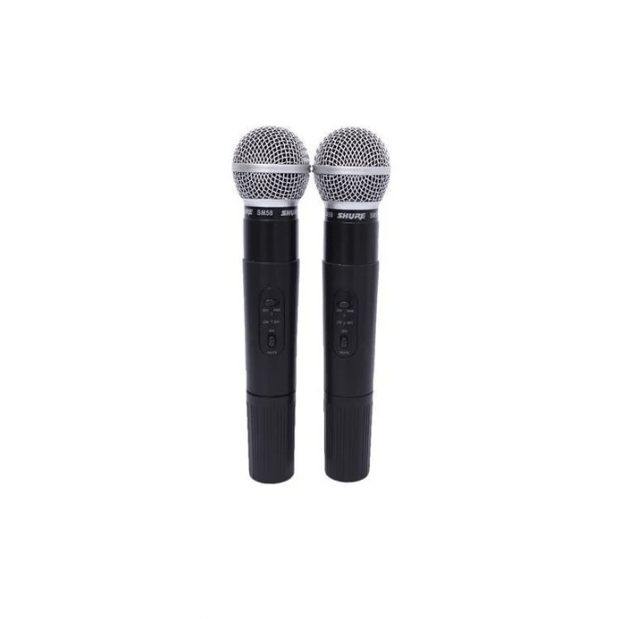 BabiShop225 Micro Sans Fil Professionnel Double