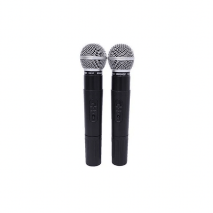 BabiShop225 Micro Sans Fil Professionnel Double