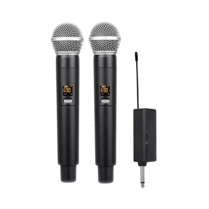 BabiShop225 Micro Sans Fil Professionnel Double