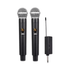 BabiShop225 Micro Sans Fil Professionnel Double