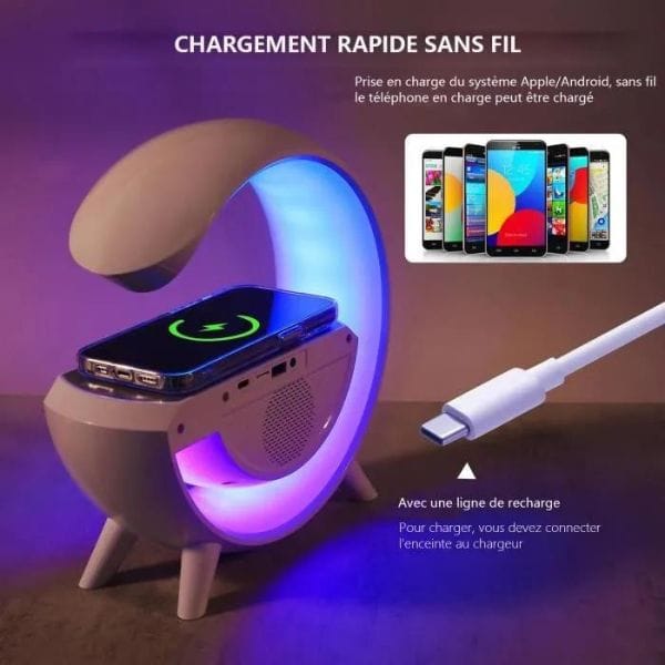 BabiShop225 Support 6en1 Support de Charge 6en1
